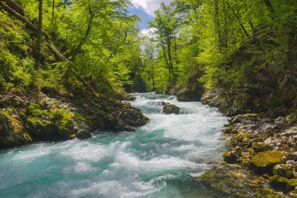 Der Fluss Radovna ist ein weniger bekanntes Juwel