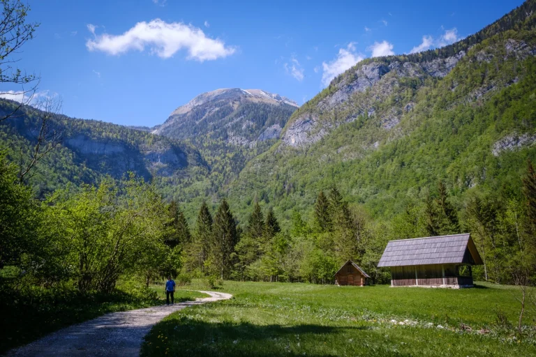 Kaunis Voje-laakso lähellä Bohinjia Sloveniassa