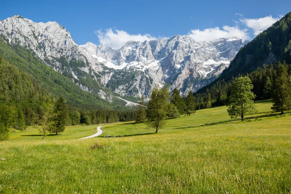 Verano en Jezersko, Eslovenia pastos valle de montaña con Kamnik-Savinja Alpes