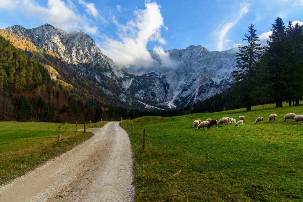 Näkymä Skuta-vuorelle Zgornje Jezerskon laaksosta Pohjois-Sloveniassa