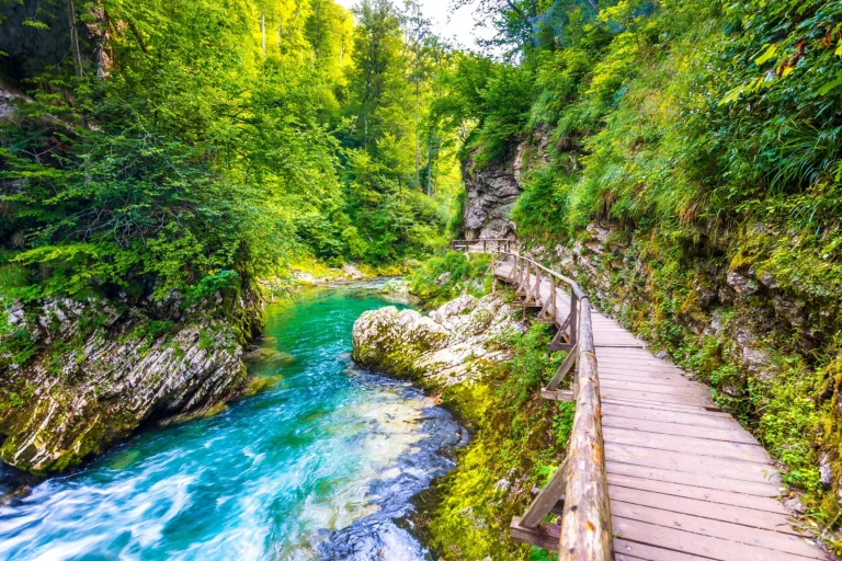 Vintgarin rotko, Slovenia. Bled-järven lähellä oleva joki, jossa on puisia turistipolkuja, siltoja joen yläpuolella ja vesiputouksia. Patikointi Triglavin kansallispuistossa. Raikas luonto, sininen vesi metsässä. Villejä puita