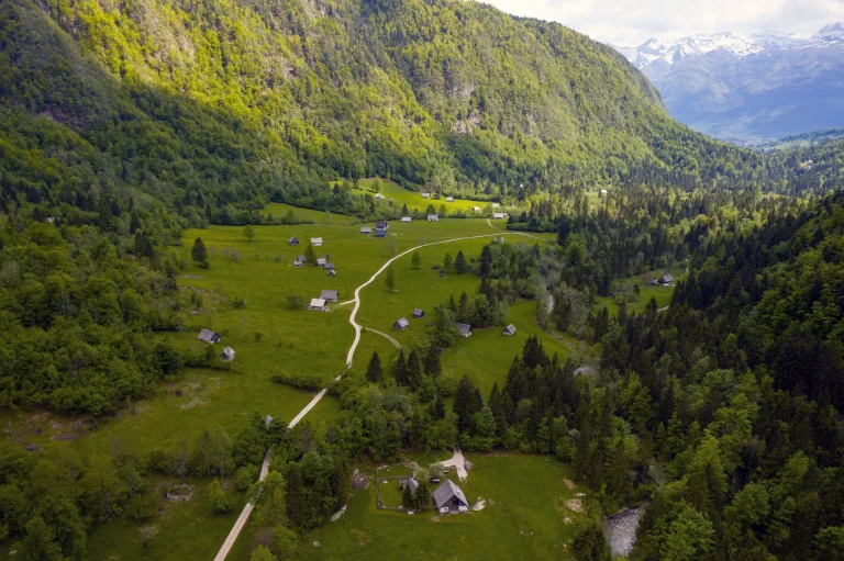 Valle de Voye en Eslovenia, cerca del lago Bohinj, con hermosos bosques verdes.